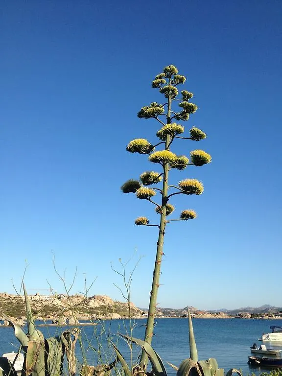Hébergement de vacances Villa Residenza Via Roma 3 à La Maddalena